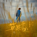 毛宁 - 苹果香