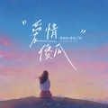 夏婉安、揉弦计划 - 爱情傻瓜