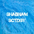 Sctdsy - Tanha