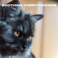 Relax My Kitten、Music For Cats、RelaxMyCat - Moments of Canine Calm