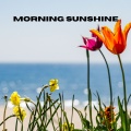 Morning Sunshine