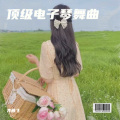 齐燕飞 - 顶级电子琴舞曲