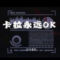 卡拉永远OK (DJ2024版)