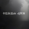 dj阿本 - 卡拉永远ok (DJ 慢摇版)