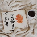 王娜 - 心花开 等你来