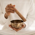 Harmonin Stillness: Healing Spa Music