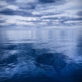 망망대해 안의 사랑 (love in the vast sea)