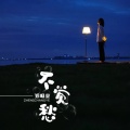 郑畅业 - 不觉愁