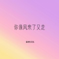 金林文化 - 你像风来了又走