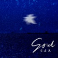 陈亦云 - Soul