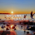 M.R.Y麦尔彦 - 麻醉幻象咖啡鼓 Vol.47