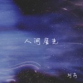 人间星光 (DJ版)