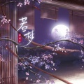 柳桐非 - 若梦