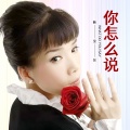 韩宝仪 - 你怎么说