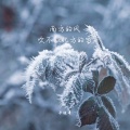 南方的风吹不散北方的雪