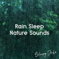 Sleepy John - Relaxing Rain Sounds, Pt. 02