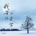 我等的不是雪