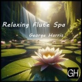 George Harris - Rocks