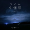 DJ小曹remix - 你懂得