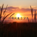 泽阳 - 你像风来了又走