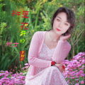 李相芬 - 红豆花开的地方