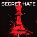 Dizzko Bizkit - Secret Hate (Radio Edit)