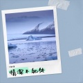 丁钟泽 - 假话乱人心