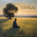 Dan Indian - I Lost in Love