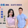 王永平、刘钦杰 - 一曲相思红尘恋