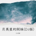 DJ尼保、鲍岩块 - 月亮里的阿妹