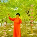 梁吉坤 - 时光不曾老去