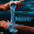 Dante Stackz、Neisha Neshae - Thoroughbred Freestyle (Explicit)