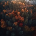 cleanmindsounds - Gentle Breeze