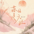 夏初安 - 落日是天涯