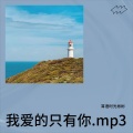 我爱的只有你.mp3