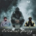 Celestial Being (feat. Papoose)(Explicit)