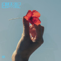 耿辉 - 旧梦不须记