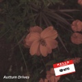Arizona Records - Auttum Drives