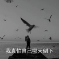 任夏夏 - 不需要人人喜欢自己