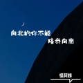 怪阿姨 - 向北的你不能陪我向南