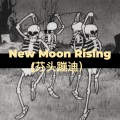 New Moon Rising (芬头蹦迪)