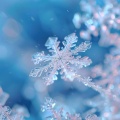 思存之声 - 雪恋冬