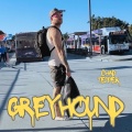 Greyhound