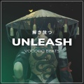 Unleash (feat. Didker)