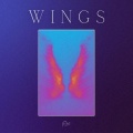 P-Air - Wings