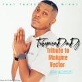 Tribute to Malume Vector (Explicit)