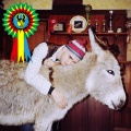 Generic Animal、Marta Del Grandi - Karaoke