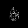 Pholexia - 405