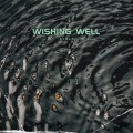 AVala - Wishing well