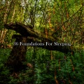 36 Foundations For Sleeping